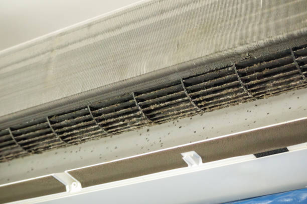 Best HVAC Duct Inspection Services  in Trevose, PA